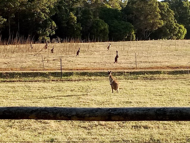 Hawke National Park