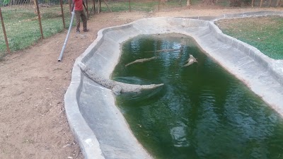 Photos of Elmolo crocodile park and lodge.