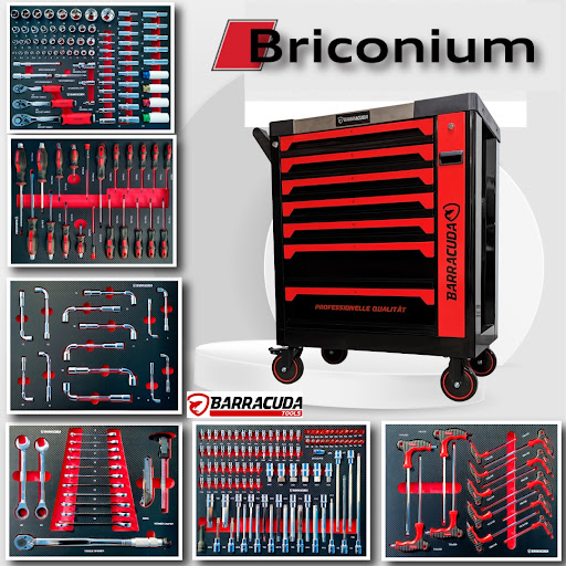 Briconium - Thumbnail