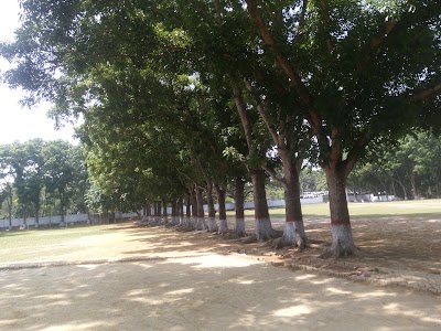 Photos of Arpara High School
