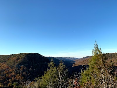 Colorblind Viewfinder - Fall Creek Falls State Park