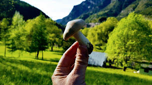 Photo n°64 de Camping Le Noyer du Baron à Le Lauzet-Ubaye (Terrain de camping)