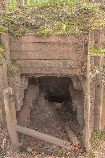 Photo de Domaine Des Iris: Chambre d'hôtes à la campagne au calme, proche Gérardmer, pistes de ski et des marchés de Noël, Vosges à Anould (88650)