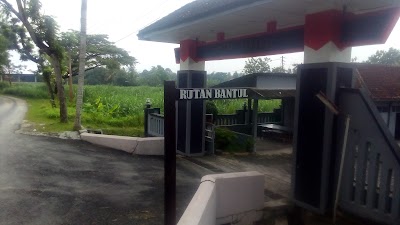 Photos of R2 Phone Pajangan