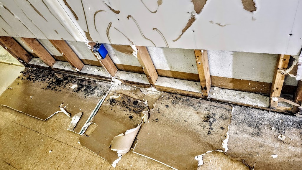 Mold Testers, LLC photo