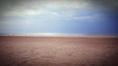 Photos of Dog Park