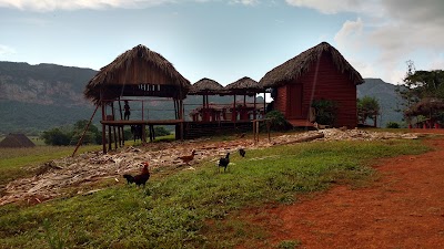 Photos of Cafeteria.