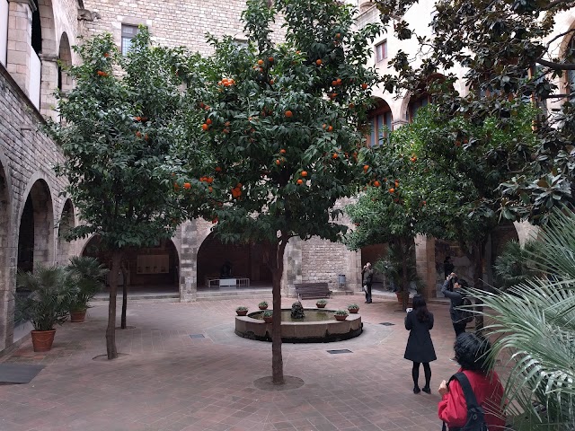 Museu d'Història de Barcelona MUHBA