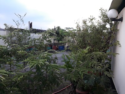 Photos of BSMMU OPD 2 Surgery