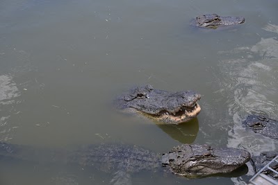 Gatorama Inc.