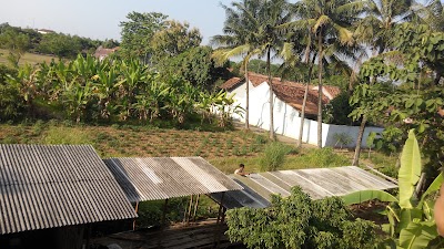 Photos of Widodo Farm