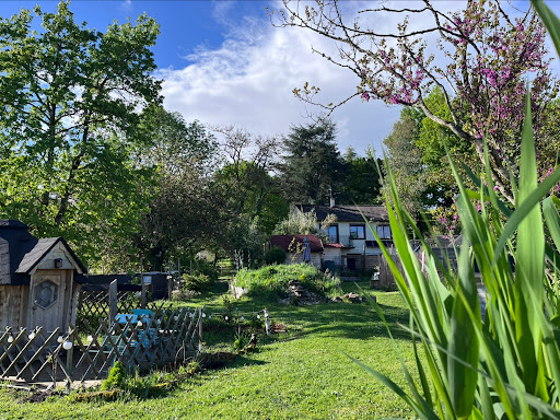 Photo de F&M - Les hôtes de Chouzy-sur-Cisse à Chouzy-sur-Cisse (41150)