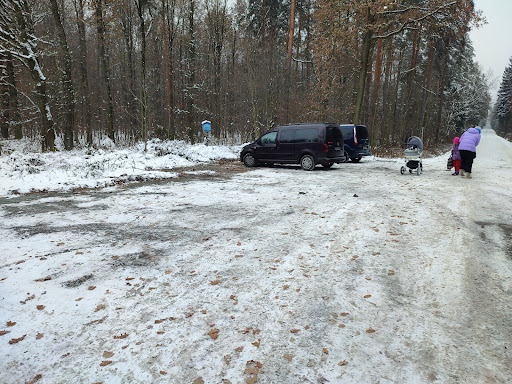 Parkplatz/Holzlagerstelle am Zellwald - Thumbnail
