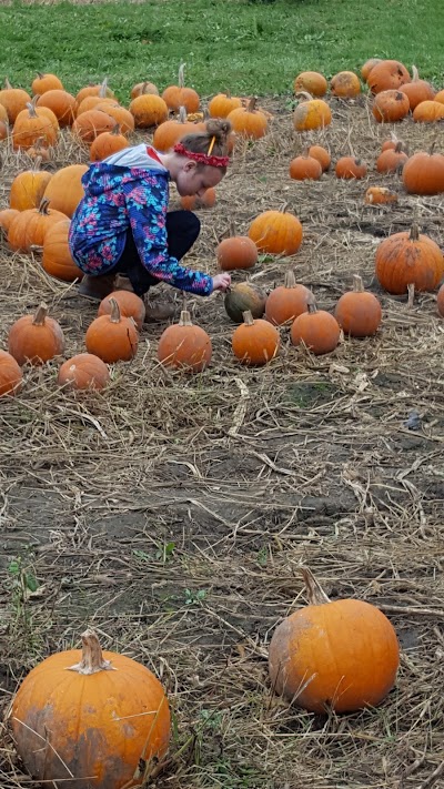 Photos of Appleberry Farm