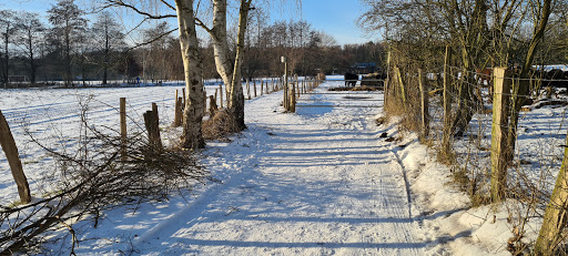 Eispohl/Sandwehen - Thumbnail