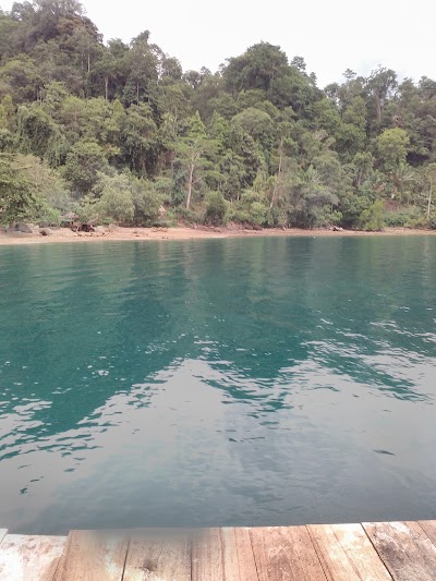 Photos of Tapan 2