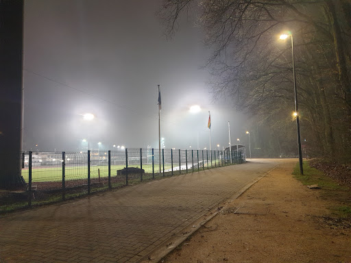 Stade Fallon - Visual