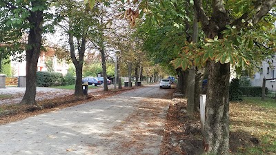 Photos of Term&aacute;lhotel Martfű