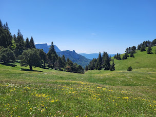Photo n°3 de L'âne voyageur à La Chapelle-en-Vercors (Agence de voyages)