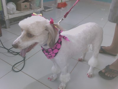 Photos of Veterinaria Only Pets