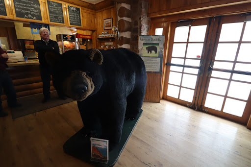Timberline Cafe Gallery - United States