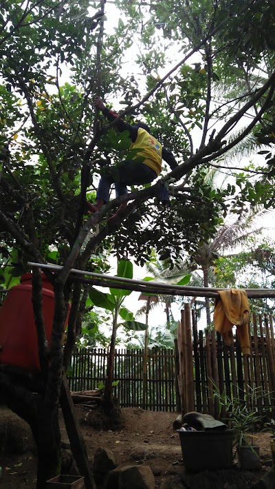 Photos of Paseh Social