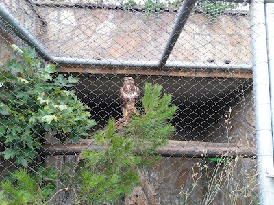Photos of &Ccedil;obandede Yerel Kuş Parkı