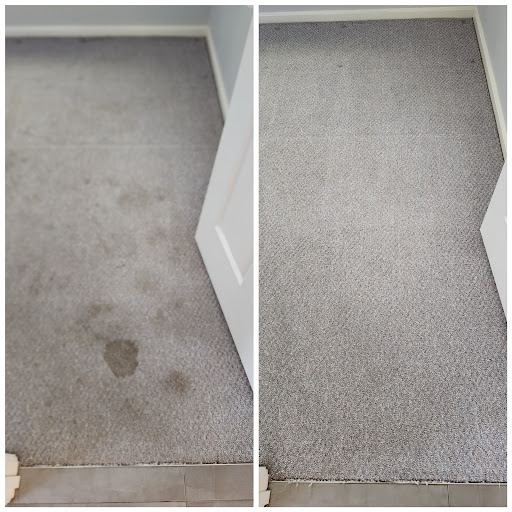 Hunter Valley Carpet and Tile Cleaning - Thumbnail