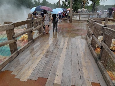 Photos of Grizzly Gulch