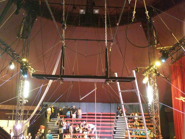 Centre International des Arts en Mouvement (CIAM)