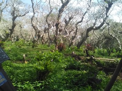 Photos of Sumber Gentong, Tirtomoyo