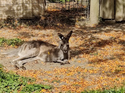 Erie Zoo