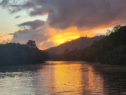 Albert River Park - Thumbnail