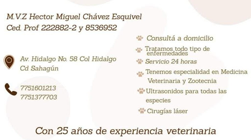 Veterinaria Bonanza