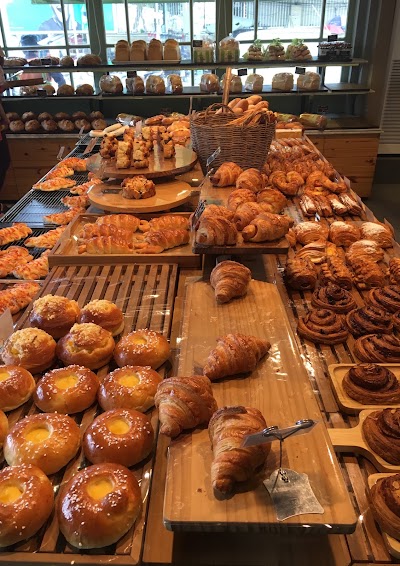 Photos of TOUS les JOURS