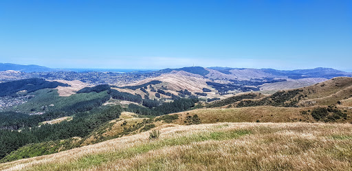 Rangituhi Colonial Knob Parkland - Thumbnail
