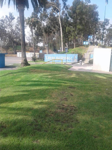 Steele Field - Visual
