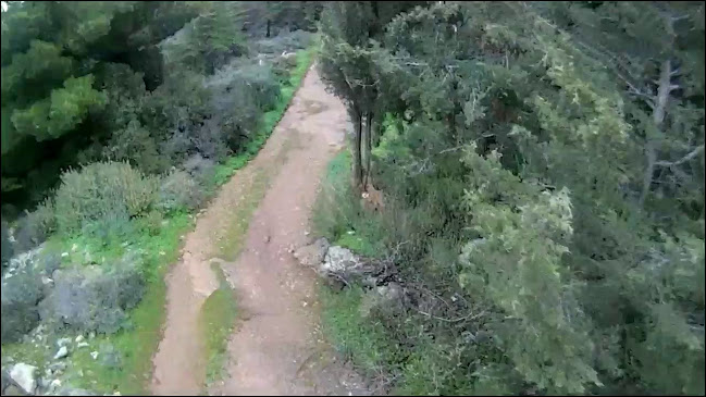 Opinii despre Δάσος Φουρνί în Αρχάνες - Μουσείο