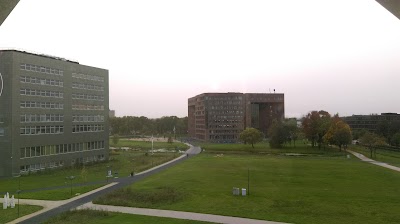 Atlas Wisdom and Wonder Pavilion - Wageningen campus