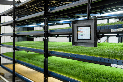 New Island Farm Solutions - United States