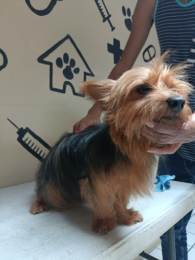 Veterinaria VIDA 24 hrs