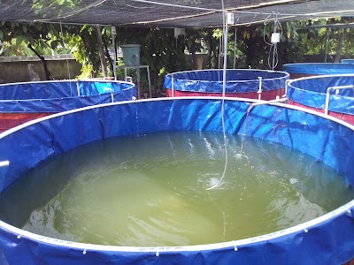 Photos of Indomaret Bubunan