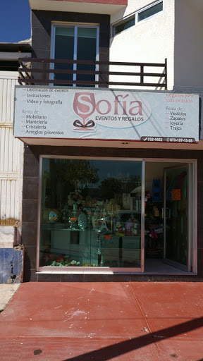 Eventos Sofia - Visual