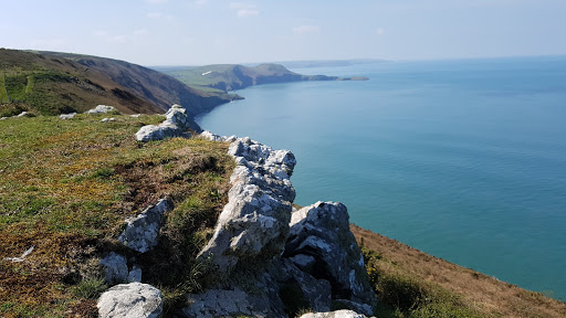 The Dingle