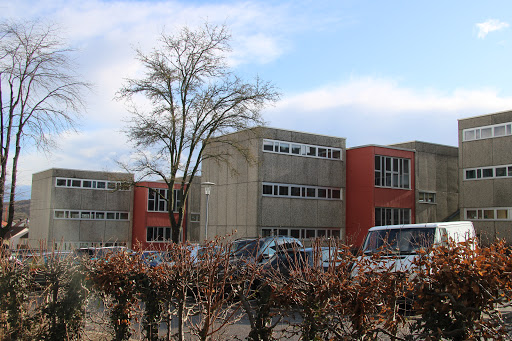 Hellbergschule Eppingen - Visual