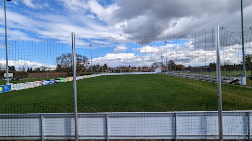 Stammheimer Volksbank Stadion Gallery - Germany