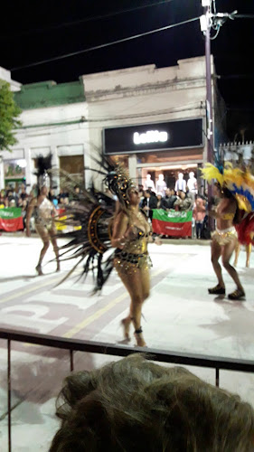 http://www.hotelartigas.com/