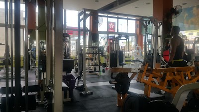 Photos of Body Fitness
