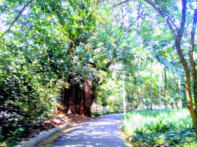 Parque Buenos Aires