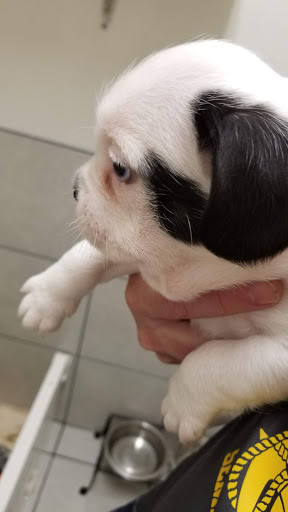 Mission Park Pet Hospital - Thumbnail